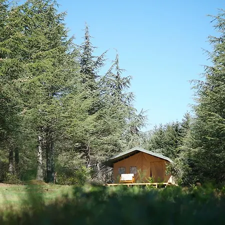 Domaine de la Vitarelle Glamping Villaniere Extérieur photo