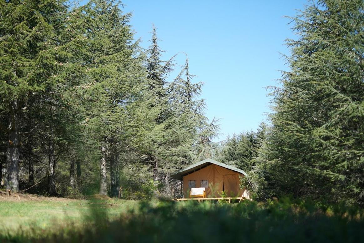 Luxuszelt Domaine De La Vitarelle Glamping
