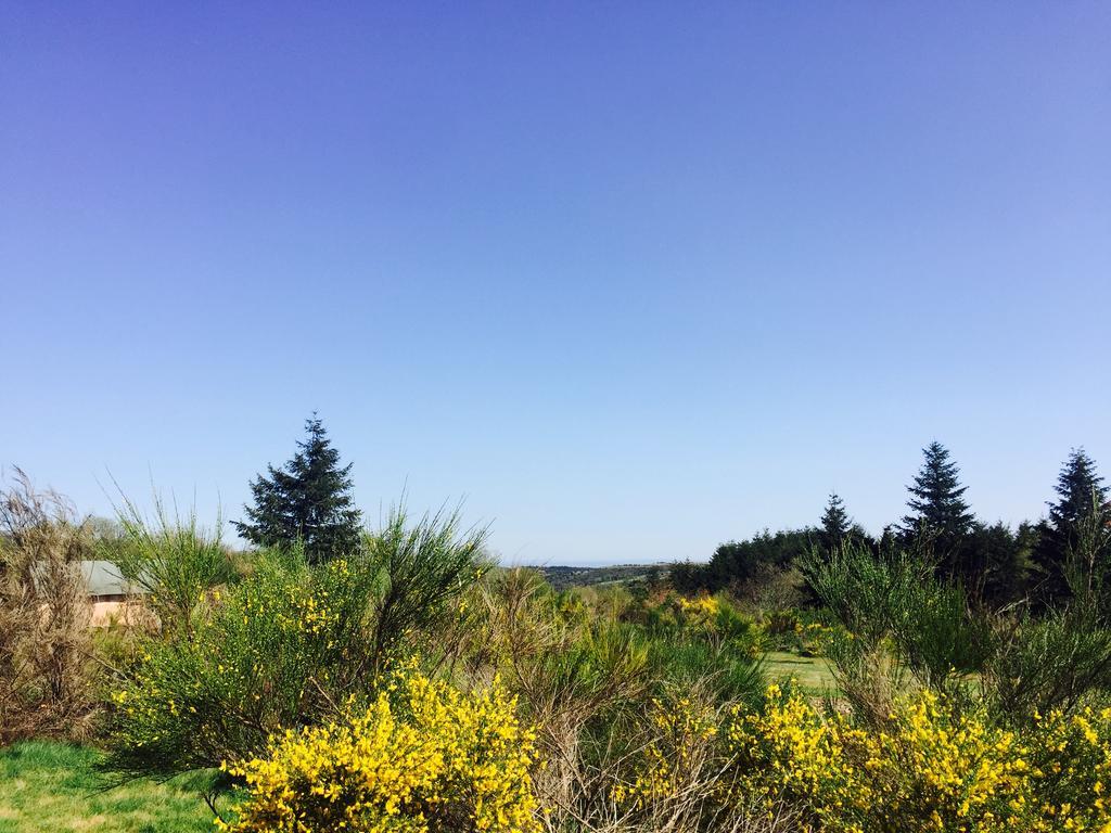 Domaine De La Vitarelle Glamping Luxuszelt Villaniere