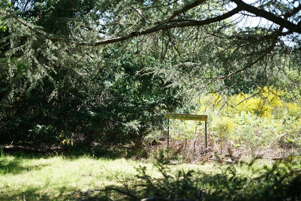Domaine De La Vitarelle Glamping 3* Villaniere