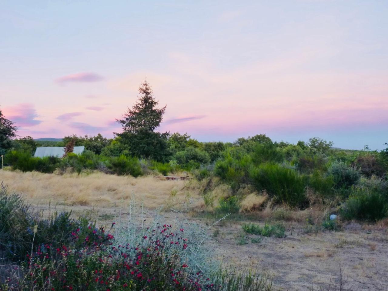 Domaine De La Vitarelle Glamping Luxuszelt